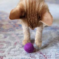 Bright Kitty Toys - 5 Pack